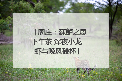 周庄：莼鲈之思下午茶 深夜小龙虾与晚风碰杯