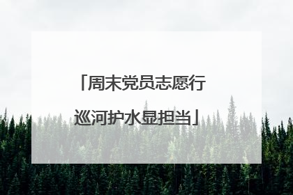 周末党员志愿行 巡河护水显担当