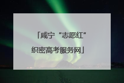 咸宁“志愿红”织密高考服务网