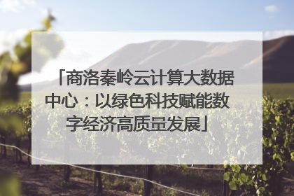 商洛秦岭云计算大数据中心：以绿色科技赋能数字经济高质量发展