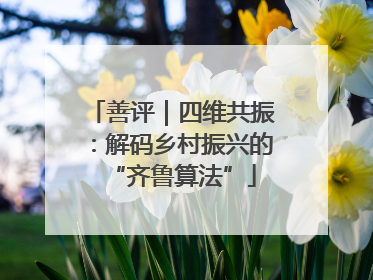 善评｜四维共振：解码乡村振兴的“齐鲁算法”