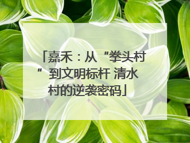 嘉禾：从“拳头村”到文明标杆 清水村的逆袭密码