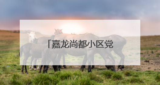 嘉龙尚都小区党支部书记谢文盛：以公心破难题 绘就小区新画卷
