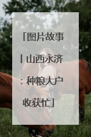 图片故事丨山西永济：种粮大户收获忙