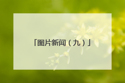 图片新闻（九）