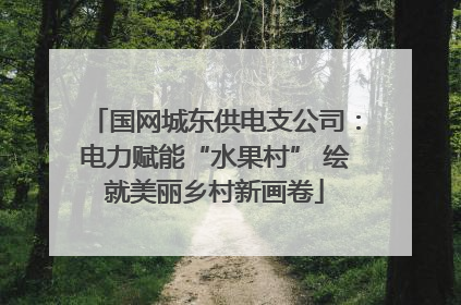 国网城东供电支公司：电力赋能“水果村” 绘就美丽乡村新画卷