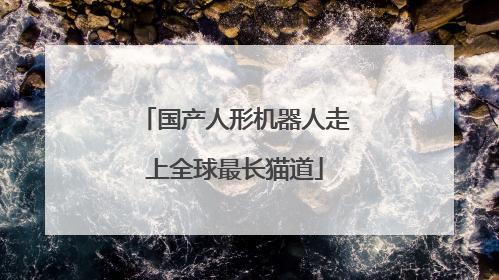 国产人形机器人走上全球最长猫道