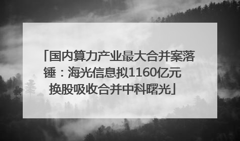 国内算力产业最大合并案落锤：海光信息拟1160亿元换股吸收合并中科曙光