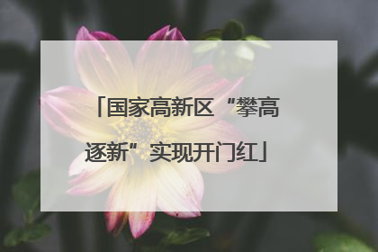国家高新区“攀高逐新”实现开门红