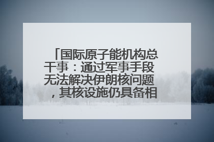 国际原子能机构总干事：通过军事手段无法解决伊朗核问题，其核设施仍具备相关产能，只需要数月就能生产出浓缩铀