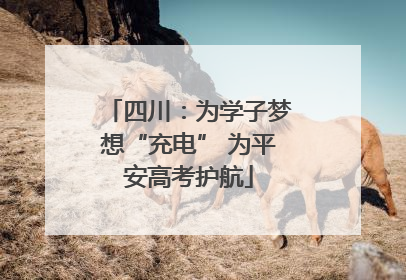 四川：为学子梦想“充电” 为平安高考护航
