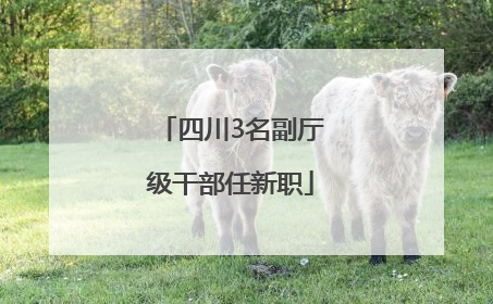 四川3名副厅级干部任新职