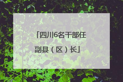 四川6名干部任副县（区）长