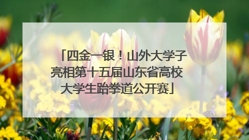 四金一银！山外大学子亮相第十五届山东省高校大学生跆拳道公开赛