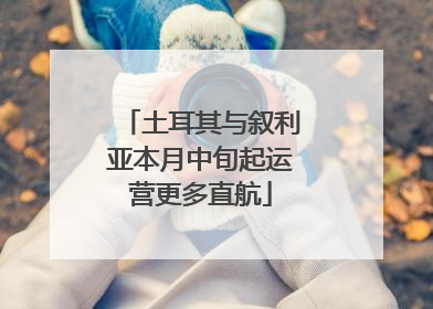 土耳其与叙利亚本月中旬起运营更多直航