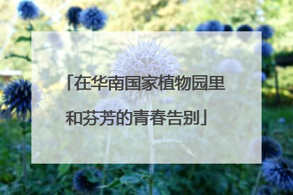 在华南国家植物园里和芬芳的青春告别