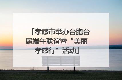 孝感市举办台胞台属端午联谊暨“美丽孝感行”活动