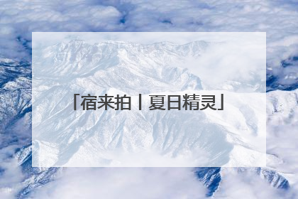 宿来拍丨夏日精灵