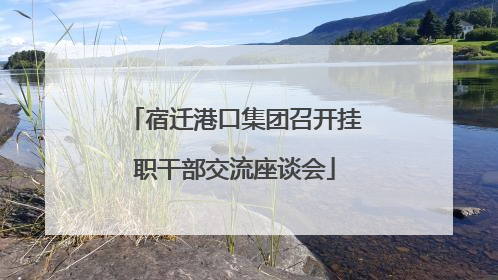 宿迁港口集团召开挂职干部交流座谈会