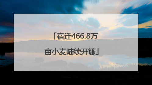 宿迁466.8万亩小麦陆续开镰