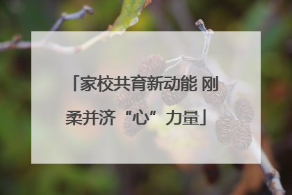 家校共育新动能 刚柔并济“心”力量
