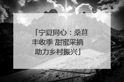 宁夏同心：桑葚丰收季 甜蜜采摘助力乡村振兴
