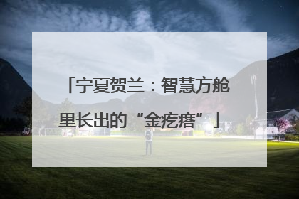 宁夏贺兰：智慧方舱里长出的“金疙瘩”