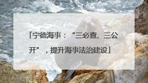 宁德海事：“三必查、三公开”，提升海事法治建设