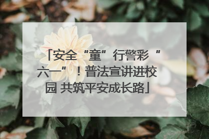 安全“童”行警彩“六一”！普法宣讲进校园 共筑平安成长路