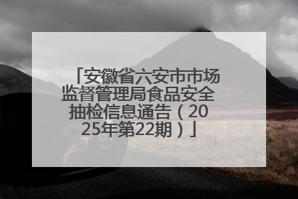 安徽省六安市市场监督管理局食品安全抽检信息通告（2025年第22期）