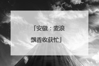 安徽：麦浪飘香收获忙
