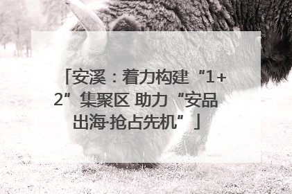 安溪：着力构建“1+2”集聚区 助力“安品出海·抢占先机”