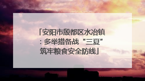 安阳市殷都区水冶镇：多举措备战“三夏” 筑牢粮食安全防线