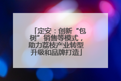 定安：创新“包树”销售等模式，助力荔枝产业转型升级和品牌打造