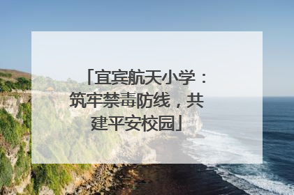 宜宾航天小学：筑牢禁毒防线，共建平安校园