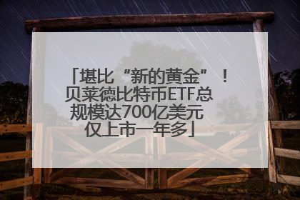 堪比“新的黄金”！贝莱德比特币ETF总规模达700亿美元 仅上市一年多