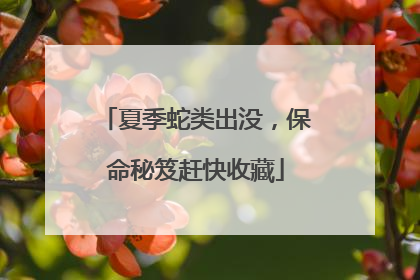 夏季蛇类出没，保命秘笈赶快收藏