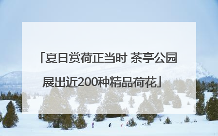 夏日赏荷正当时 茶亭公园展出近200种精品荷花