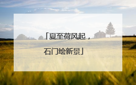 夏至荷风起，石门绘新景