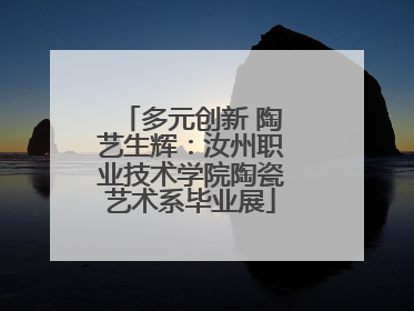 多元创新 陶艺生辉：汝州职业技术学院陶瓷艺术系毕业展