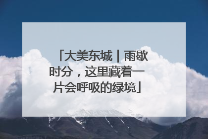 大美东城｜雨歇时分，这里藏着一片会呼吸的绿境