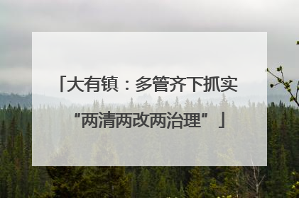 大有镇：多管齐下抓实“两清两改两治理”