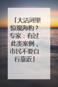 大沽河里惊现海豹？专家：有过此类案例，市民不要自行靠近