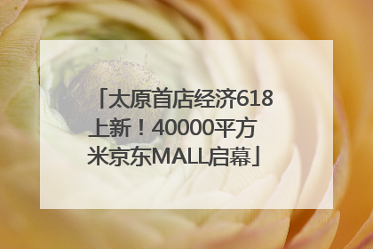 太原首店经济618上新！40000平方米京东MALL启幕