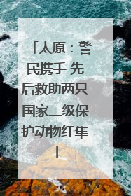 太原：警民携手 先后救助两只国家二级保护动物红隼