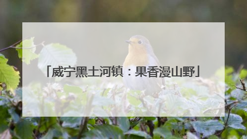 威宁黑土河镇：果香漫山野
