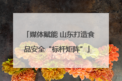 媒体赋能 山东打造食品安全“标杆矩阵”
