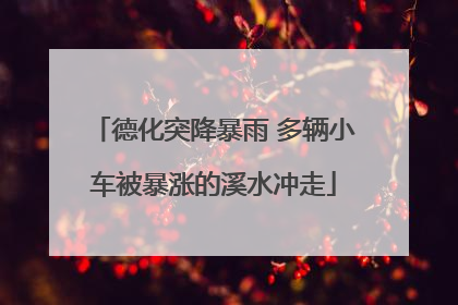 德化突降暴雨 多辆小车被暴涨的溪水冲走