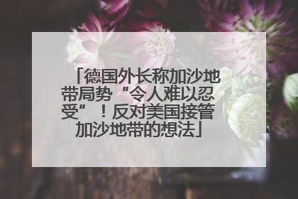 德国外长称加沙地带局势“令人难以忍受”！反对美国接管加沙地带的想法