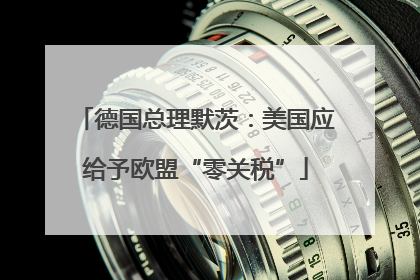 德国总理默茨：美国应给予欧盟“零关税”